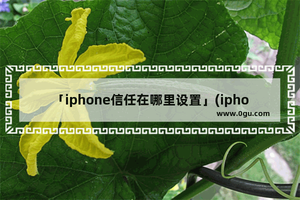 「iphone信任在哪里设置」(iphone信任在哪里设置软件未被验证)