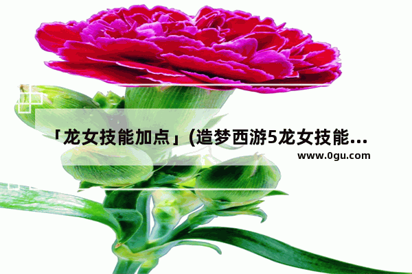 「龙女技能加点」(造梦西游5龙女技能加点推荐)