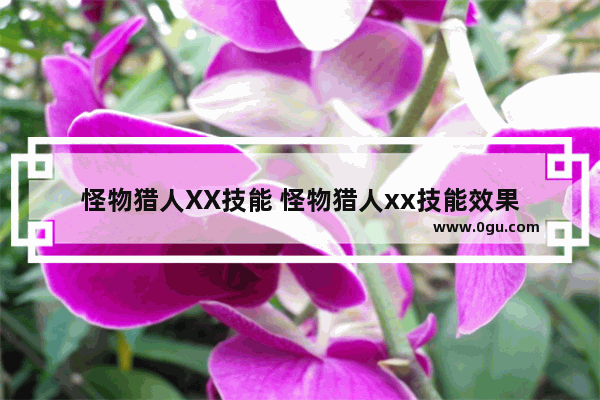 怪物猎人XX技能 怪物猎人xx技能效果