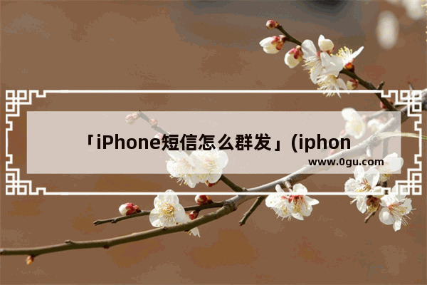 「iPhone短信怎么群发」(iphone短信怎么群发所有人)