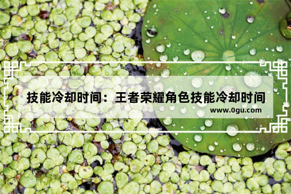 技能冷却时间：王者荣耀角色技能冷却时间
