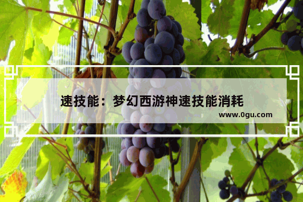速技能：梦幻西游神速技能消耗