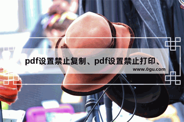 pdf设置禁止复制、pdf设置禁止打印、pdf如何防止修改的方法