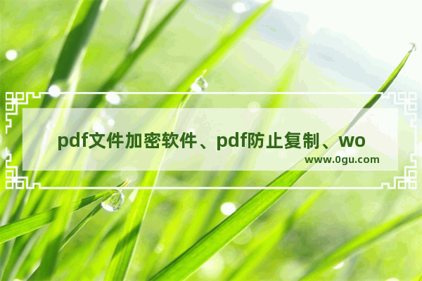 pdf文件加密软件、pdf防止复制、word转pdf禁止复制的方法