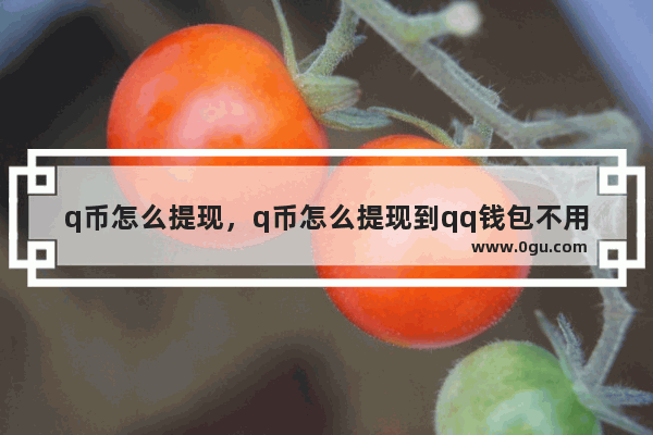 q币怎么提现，q币怎么提现到qq钱包不用银行卡