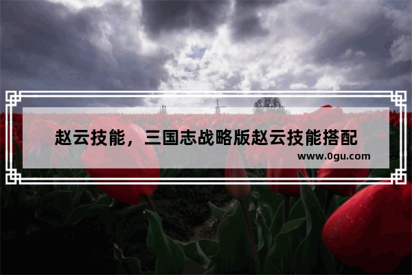 赵云技能，三国志战略版赵云技能搭配