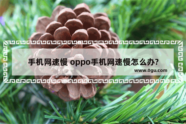 手机网速慢 oppo手机网速慢怎么办?