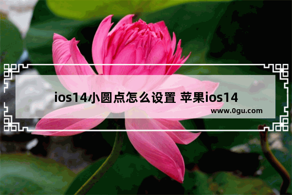 ios14小圆点怎么设置 苹果ios14小圆点怎么设置