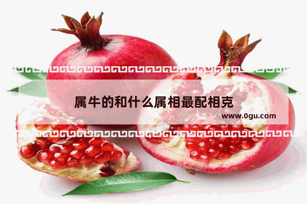 属牛的和什么属相最配相克