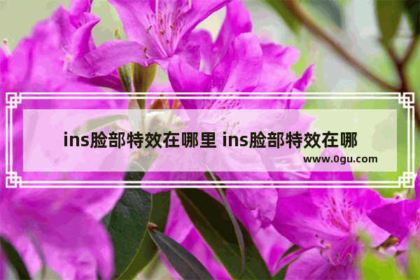 ins脸部特效在哪里 ins脸部特效在哪里苹果