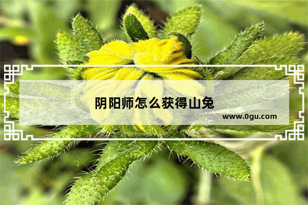 阴阳师怎么获得山兔
