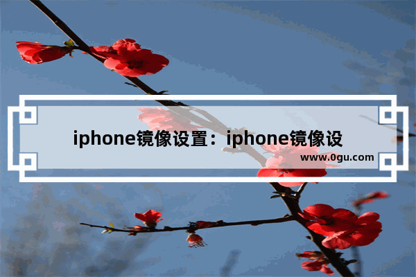 iphone镜像设置：iphone镜像设置全屏