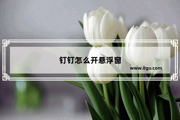 钉钉怎么开悬浮窗