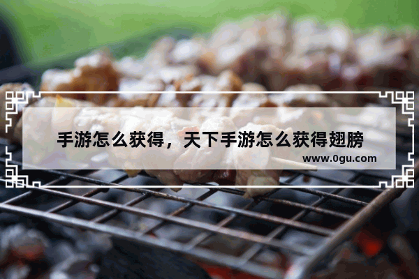 手游怎么获得，天下手游怎么获得翅膀