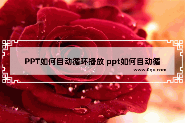PPT如何自动循环播放 ppt如何自动循环播放幻灯片