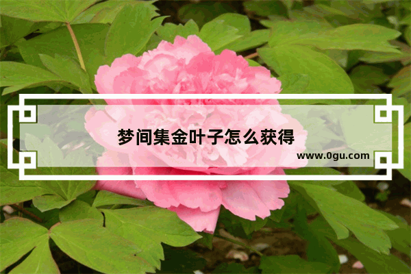 梦间集金叶子怎么获得