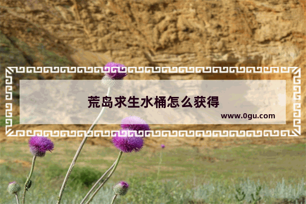 荒岛求生水桶怎么获得