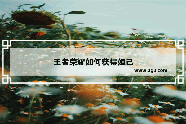 王者荣耀如何获得妲己