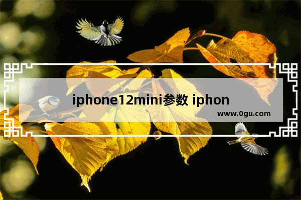 iphone12mini参数 iphone12mini参数配置详细参数