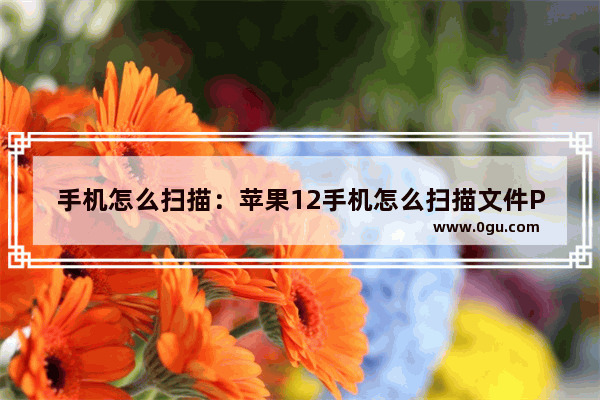 手机怎么扫描：苹果12手机怎么扫描文件Pdf