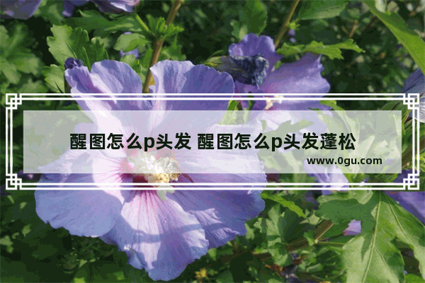 醒图怎么p头发 醒图怎么p头发蓬松
