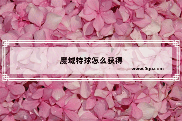 魔域特球怎么获得