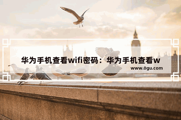 华为手机查看wifi密码：华为手机查看wifi密码方法
