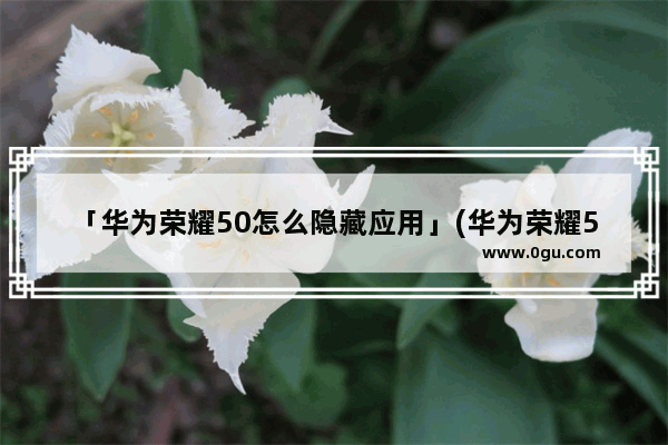 「华为荣耀50怎么隐藏应用」(华为荣耀50怎么隐藏应用游戏)