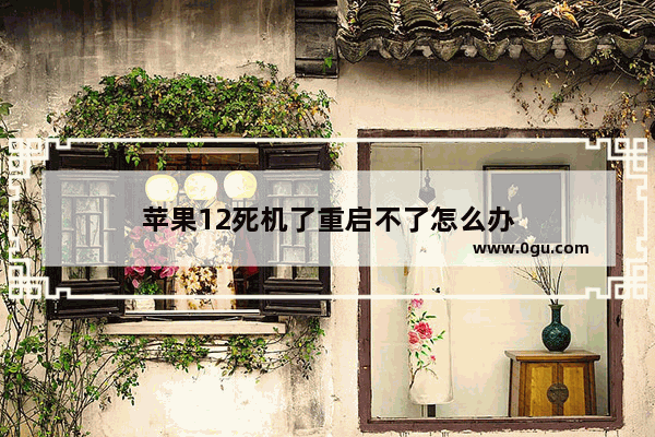 苹果12死机了重启不了怎么办