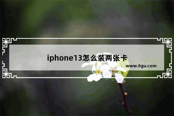 iphone13怎么装两张卡