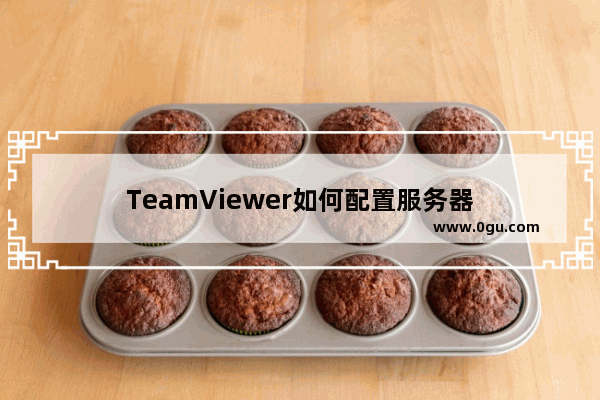 TeamViewer如何配置服务器