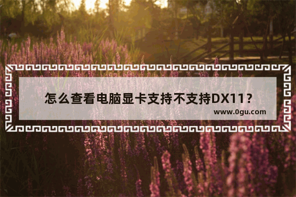 怎么查看电脑显卡支持不支持DX11？