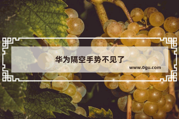 华为隔空手势不见了