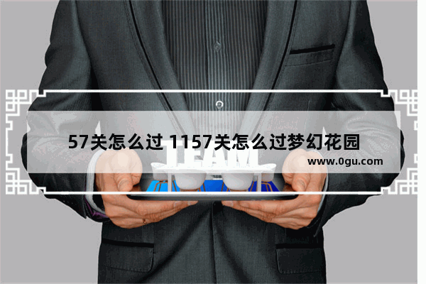 57关怎么过 1157关怎么过梦幻花园