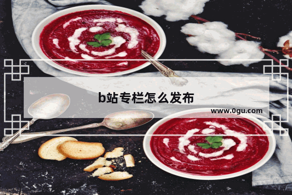 b站专栏怎么发布