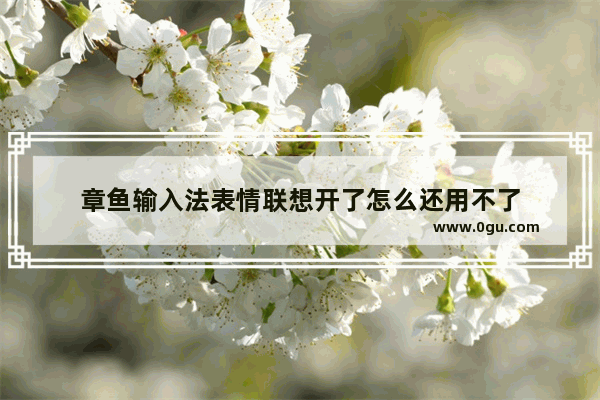 章鱼输入法表情联想开了怎么还用不了