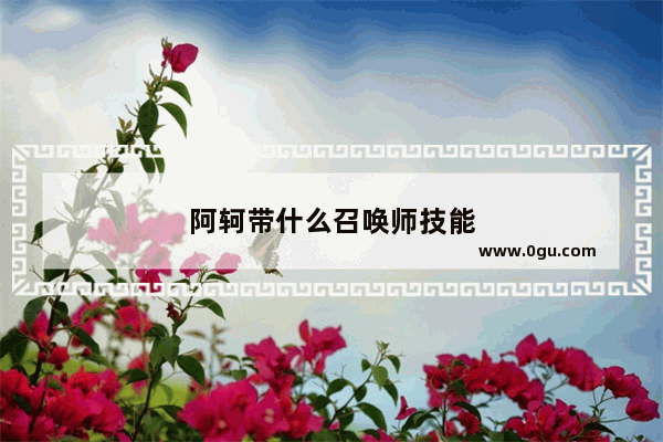 阿轲带什么召唤师技能