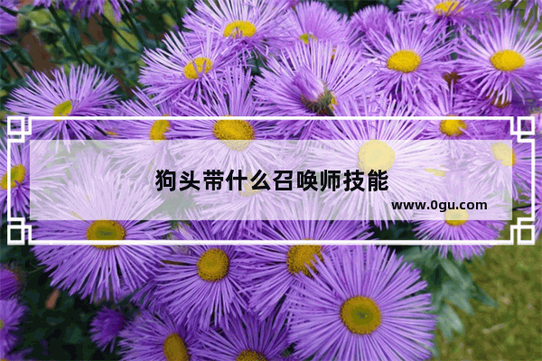 狗头带什么召唤师技能