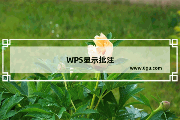 WPS显示批注