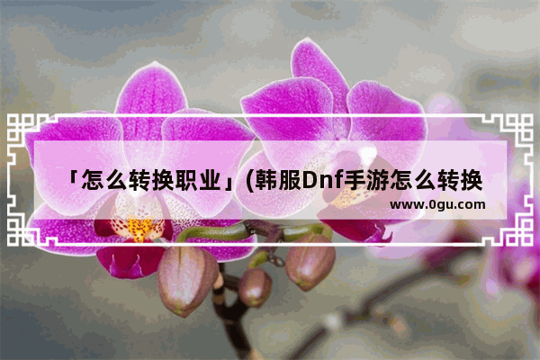 「怎么转换职业」(韩服Dnf手游怎么转换职业)