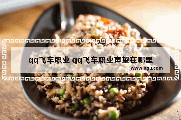 qq飞车职业 qq飞车职业声望在哪里