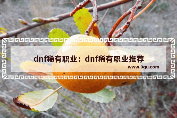 dnf稀有职业：dnf稀有职业推荐
