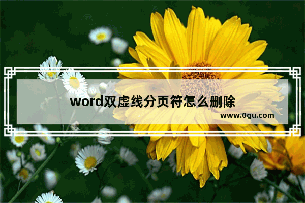 word双虚线分页符怎么删除