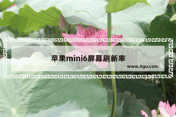 苹果mini6屏幕刷新率
