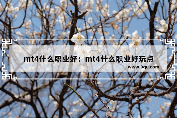 mt4什么职业好：mt4什么职业好玩点