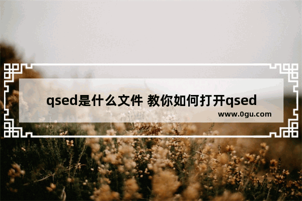 qsed是什么文件 教你如何打开qsed文件？