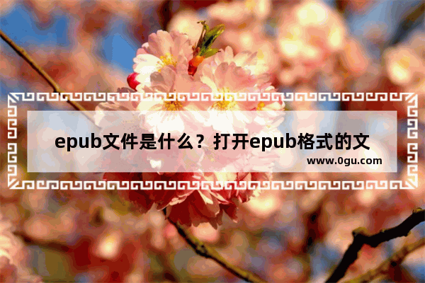 epub文件是什么？打开epub格式的文件的方法