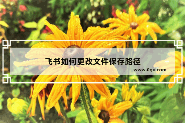 飞书如何更改文件保存路径