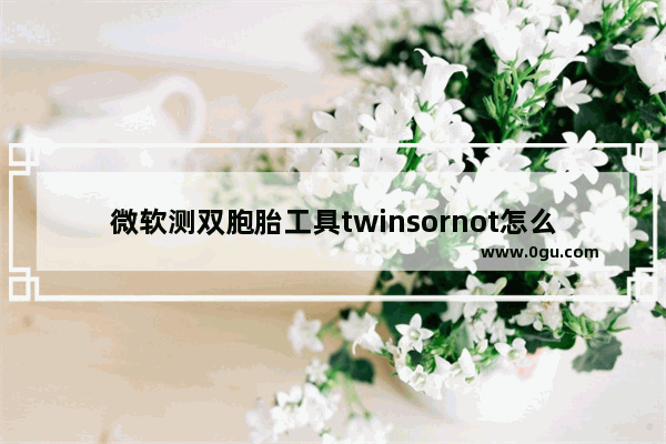 微软测双胞胎工具twinsornot怎么玩？测双胞胎工具twinsornot玩法介绍