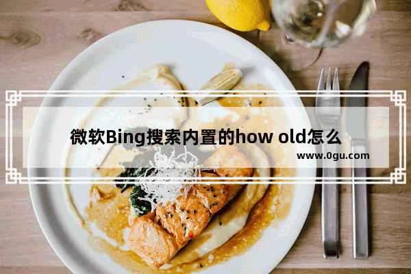 微软Bing搜索内置的how old怎么用?